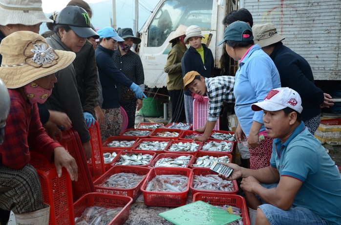 Siết chặt khai thác thủy sản - Ảnh 1.