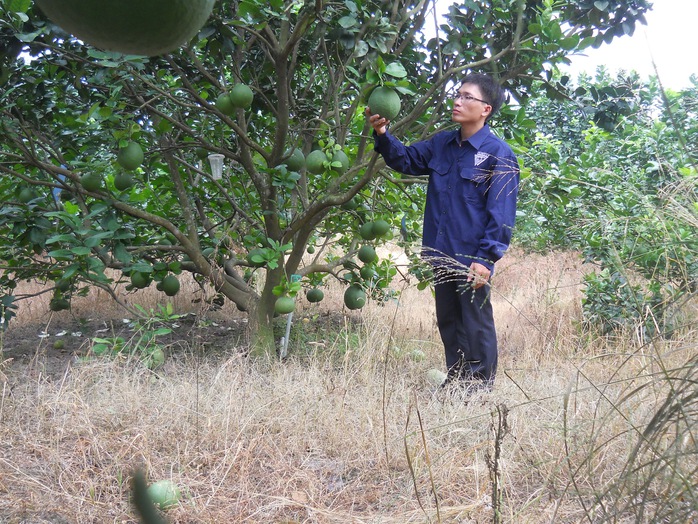 Thành quả sáng tạo - Ảnh 1.