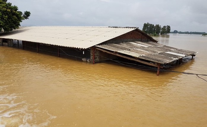 Hà Nội: Vỡ đê sông Bùi, nước ngập gần nóc nhà - Ảnh 2.