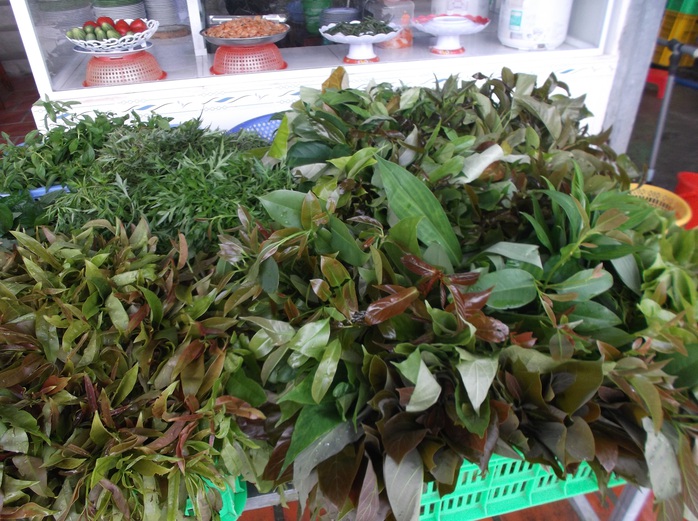 Lung linh mùa nước nổi ở An Giang - Ảnh 15. Lung linh mùa nước nổi ở An Giang - Ảnh 15.