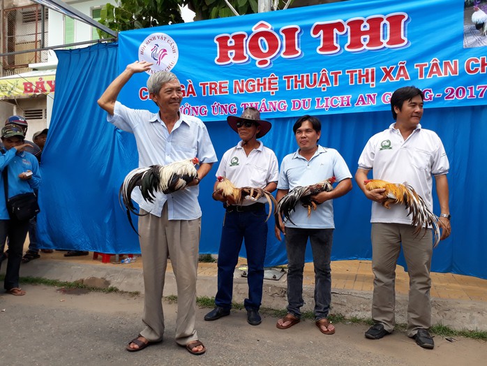 Chọi gà tre Tân Châu : Hết xuýt xoa đến cười sảng khoái - Ảnh 11. Chọi gà tre Tân Châu : Hết xuýt xoa đến cười sảng khoái - Ảnh 11.