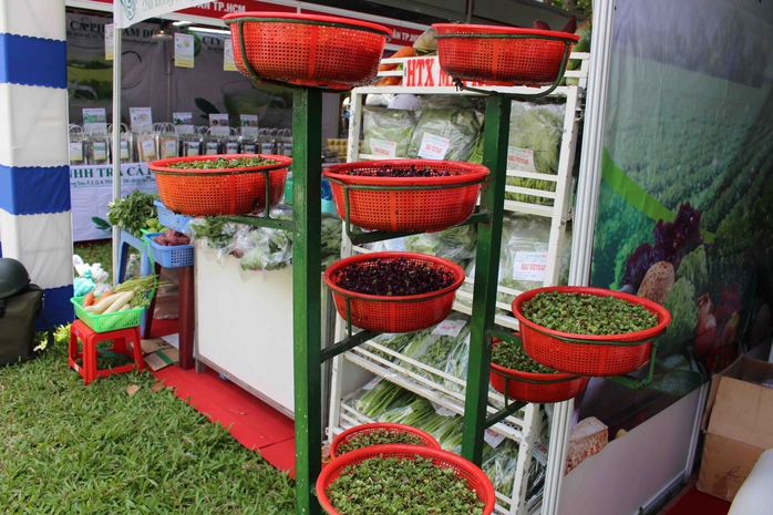 Mô hình trồng rau hữu cơ kiểu mới dạng tháp đơn giản, đẹp mắt, tiết kiệm không gian, được chị Hoa trưng bày giới thiệu với người tiêu dùng và tìm cơ hội kinh doanh.