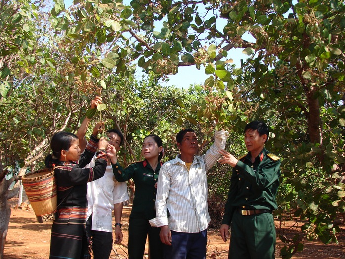 Tình quân dân giữa ngàn xanh - Ảnh 1.