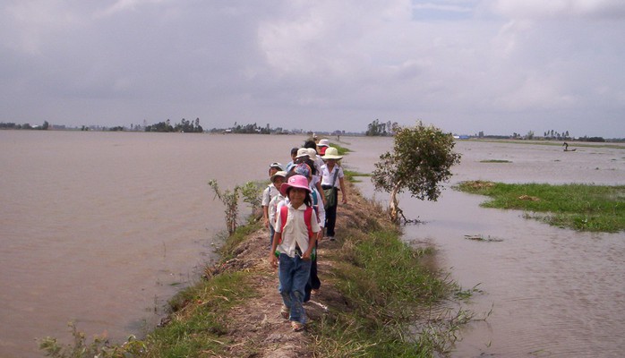 Ra thông báo nghỉ học tránh bão, giám đốc sở bị dân mạng “ném đá” - Ảnh 1.