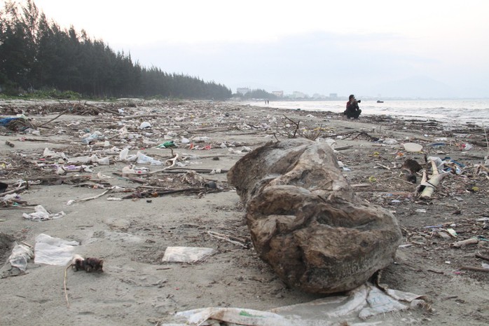 Hơn 1 km bờ biển Đà Nẵng tràn ngập hàng trăm tấn rác - Ảnh 6.
