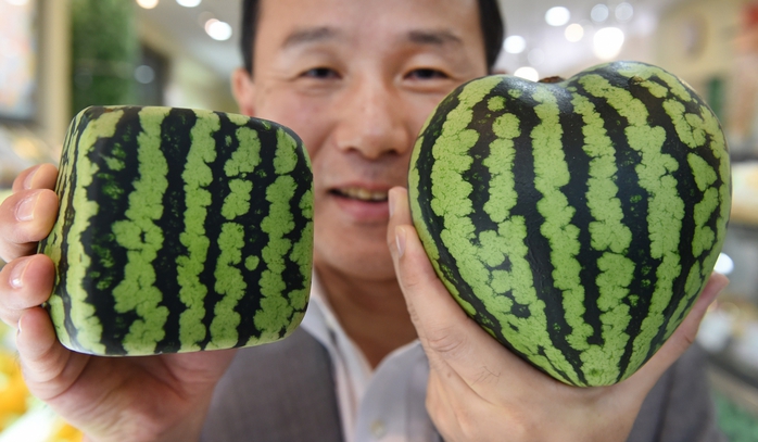 Nhật Bản: “Siêu trái cây” hàng chục ngàn USD hút khách - Ảnh 1.