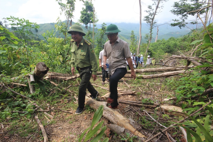 Phó chủ tịch tỉnh đi bộ 8 giờ kiểm tra hiện trường phá rừng - Ảnh 1.