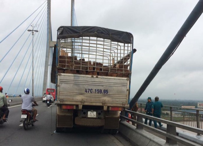Chạy xe tải lên cầu Mỹ Thuận, tài xế nhảy xuống sông - Ảnh 1.