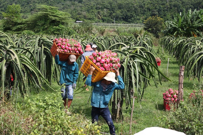 Phó Thủ tướng: Không để một người dân nào gặp nguy hiểm khi bão, lũ đến - Ảnh 8.