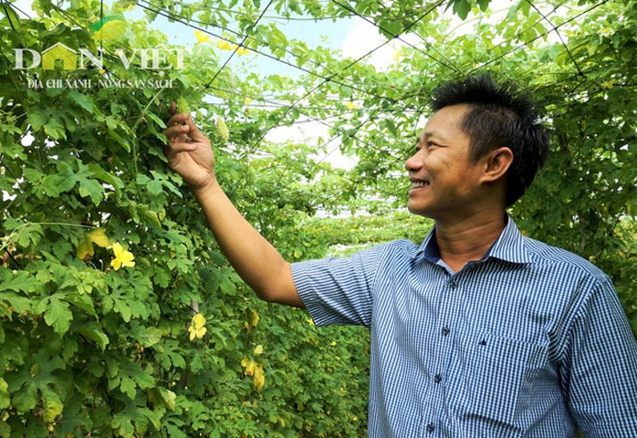 Thành công nhờ nhẫn nại - Ảnh 1.