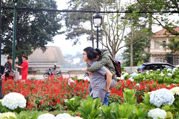 
Cặp đôi lãng mạn bên ngàn hoa đặc sản của TP Đà Lạt dịp này.
