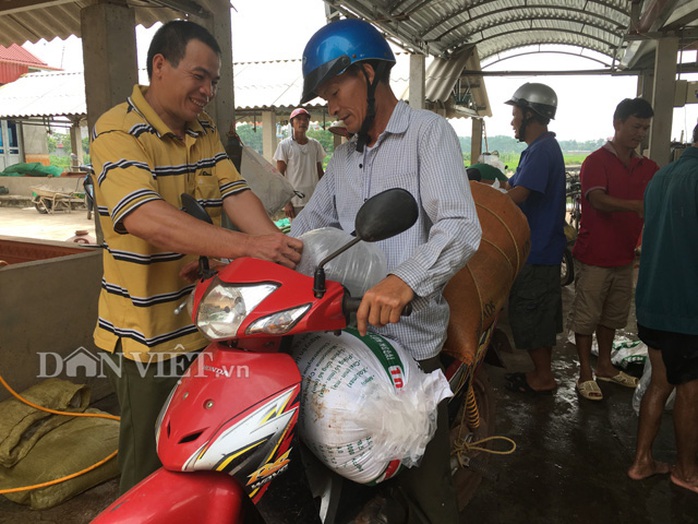 “Gia Cát Lượng” ương cá giống ở Bắc Giang - Ảnh 1.