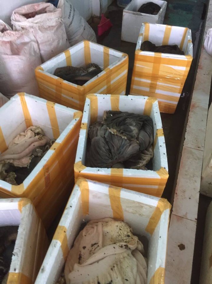 Bắt quả tang cơ sở chế biến chui gần 900 kg nội tạng động vật bẩn - Ảnh 2.