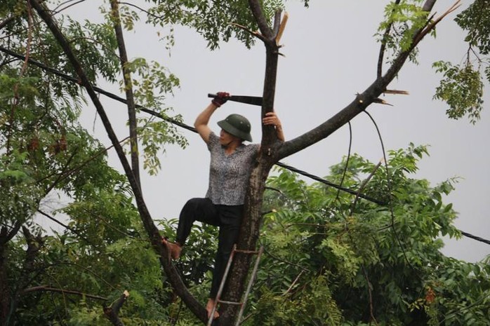 Miền Trung hối hả ứng phó siêu bão - Ảnh 17.