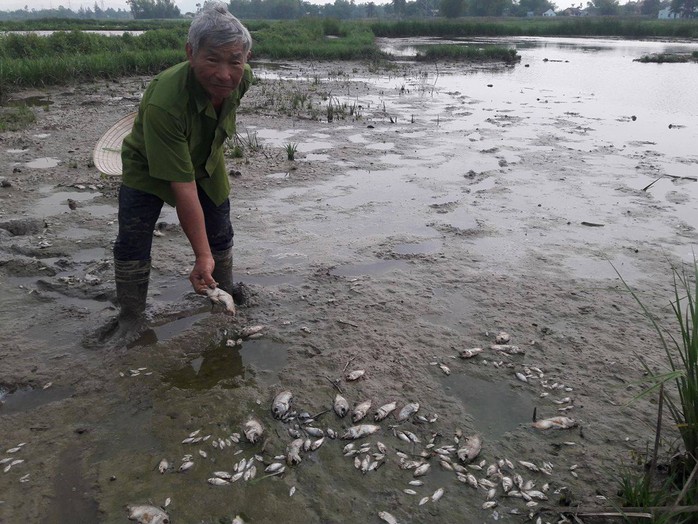 Người dân cho rằng nguyên nhân cá chết do nhà máy mạ kẽm gần đó xả nước thải trộm