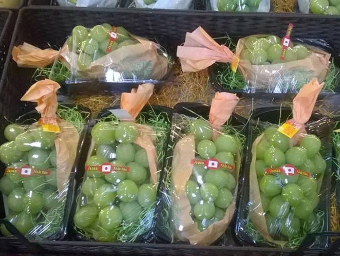 ...hay nho xanh mẫu đơn ngày càng xuất hiện nhiều ở Việt Nam