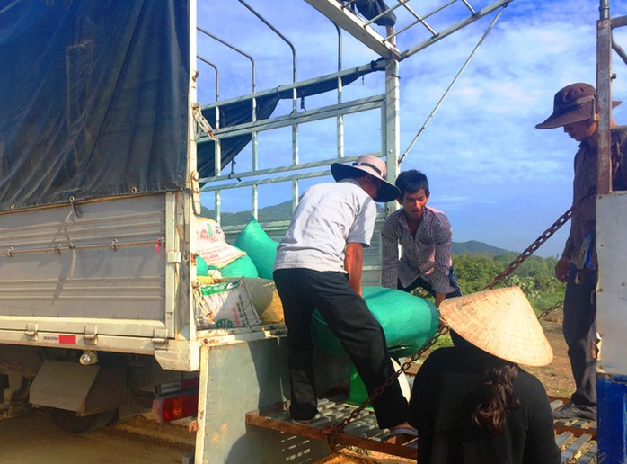 Giá ớt lao dốc, bán 1kg không mua nổi gói mì tôm - Ảnh 2. Giá ớt lao dốc, bán 1kg không mua nổi gói mì tôm - Ảnh 2.