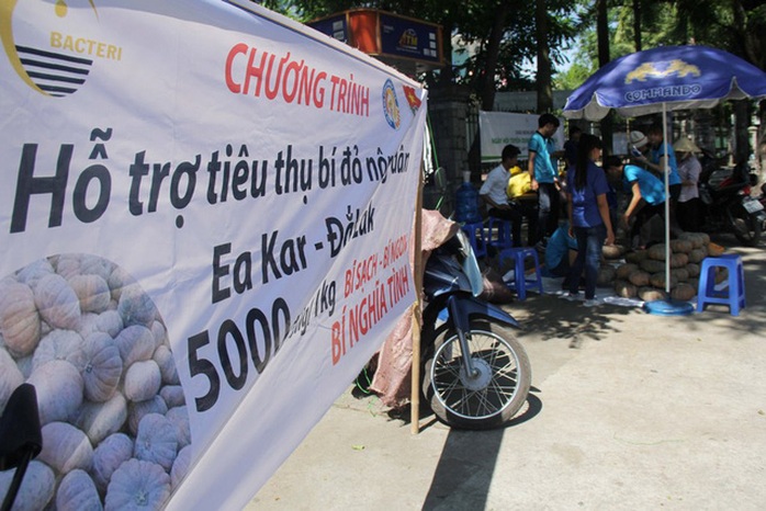 Huế chung tay “giải cứu bí đỏ” cho nông dân Đắk Lắk - Ảnh 1. Huế chung tay “giải cứu bí đỏ” cho nông dân Đắk Lắk - Ảnh 1.