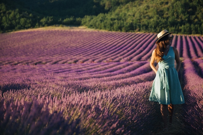 Thiên đường oải hương tràn sắc tím giữa lòng Provence - Ảnh 3. Thiên đường oải hương tràn sắc tím giữa lòng Provence - Ảnh 3.