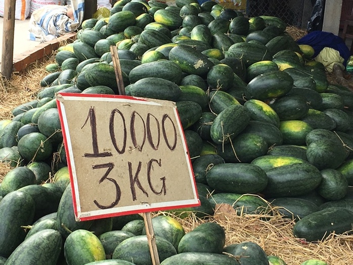 Khuyến nông tốt, sản lượng nhiều nhưng không biết bán ở đâu! - Ảnh 1. Khuyến nông tốt, sản lượng nhiều nhưng không biết bán ở đâu! - Ảnh 1.