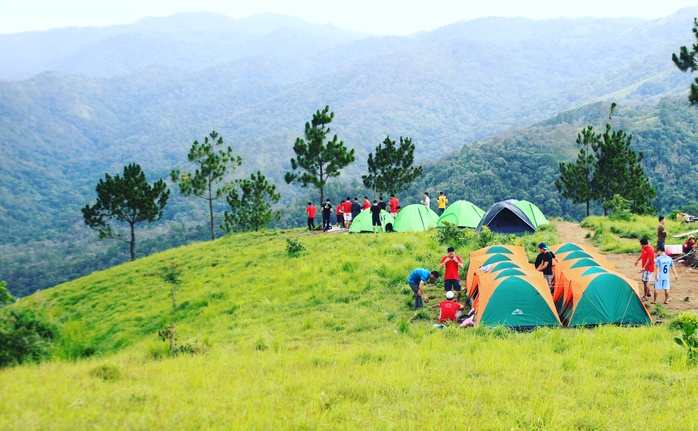 Đưa nhau đi trốn ở rừng Tà Năng- Phan Dũng - Ảnh 7. Đưa nhau đi trốn ở rừng Tà Năng- Phan Dũng - Ảnh 7.
