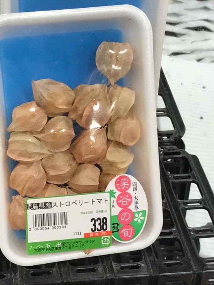 Tầm bóp: Ở Việt Nam là quả dại, ở Nhật bán 700.000 đồng/kg - Ảnh 1. Tầm bóp: Ở Việt Nam là quả dại, ở Nhật bán 700.000 đồng/kg - Ảnh 1.
