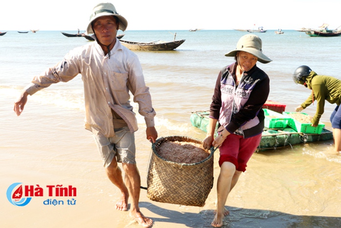 Ngư dân Kỳ Anh liên tiếp trúng đậm ruốc biển - Ảnh 3. Ngư dân Kỳ Anh liên tiếp trúng đậm ruốc biển - Ảnh 3.
