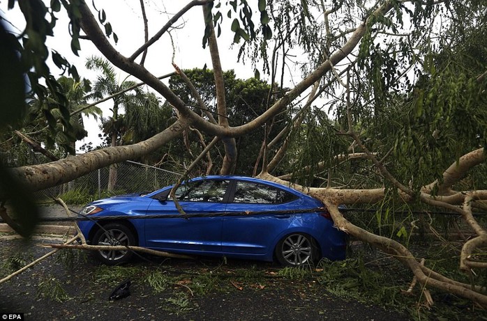 Phi công liều lĩnh lái máy bay xuyên bão Irma - Ảnh 2.