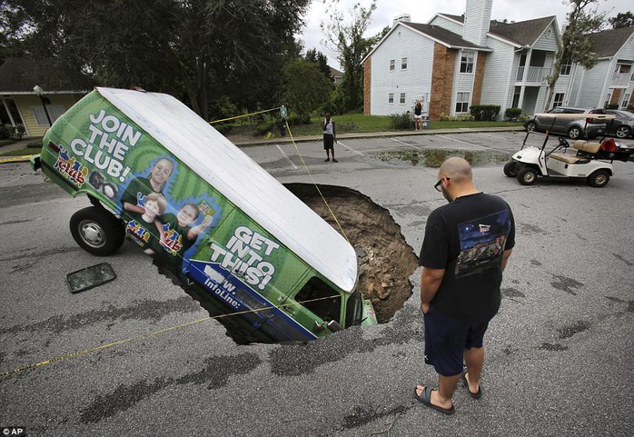 Mất nhà vì bão Irma, cá sấu lang thang ở Florida - Ảnh 7.