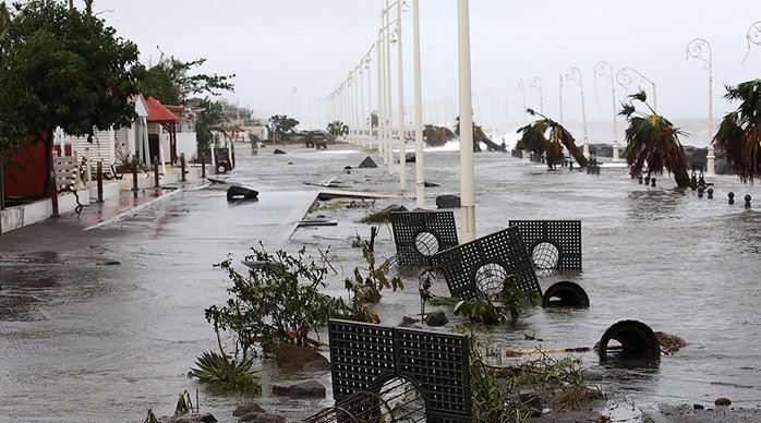 
Cây cối ngã đổ trên đường sau bão. Ảnh: Reuters
