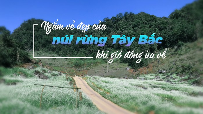 Ngắm vẻ đẹp của núi rừng Tây Bắc khi gió đông ùa về - Ảnh 1. Ngắm vẻ đẹp của núi rừng Tây Bắc khi gió đông ùa về - Ảnh 1.
