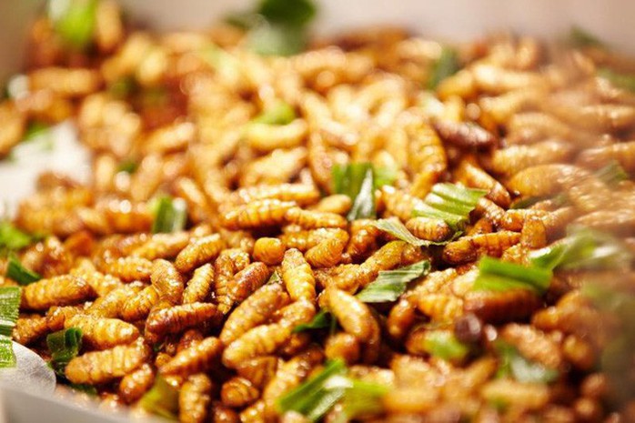 Tò mò nếm thử… ong vò vẽ cực độc ở miền Tây - Ảnh 4.