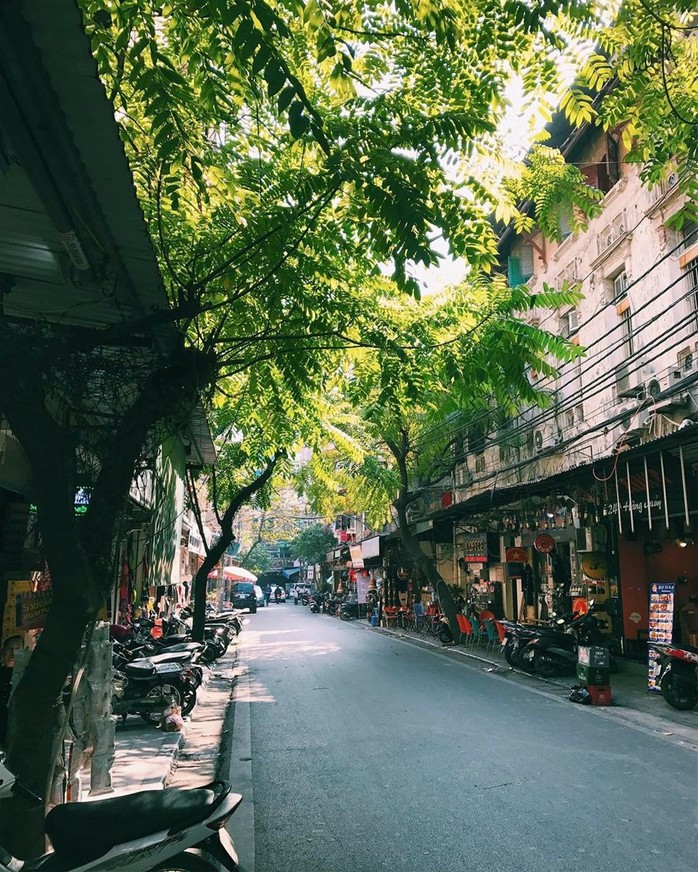 Việt Nam đẹp đến thổn thức dưới mắt nhiếp ảnh gia người Anh - Ảnh 3. Việt Nam đẹp đến thổn thức dưới mắt nhiếp ảnh gia người Anh - Ảnh 3.