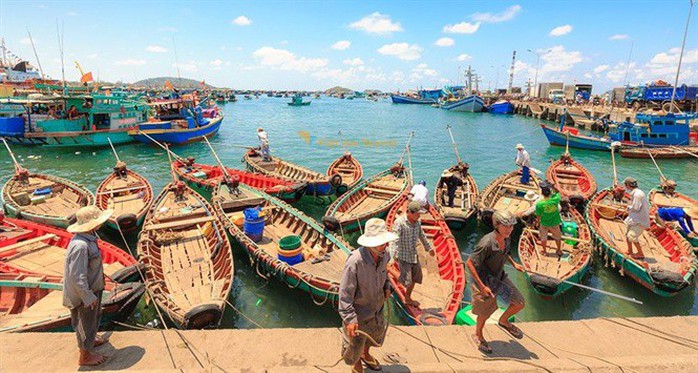 Săn lùng thần dược tăng bản lĩnh đàn ông ở Phú Quốc - Ảnh 1. Săn lùng thần dược tăng bản lĩnh đàn ông ở Phú Quốc - Ảnh 1.