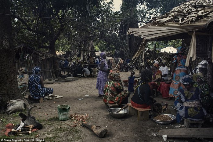 Để được kết hôn, nam thanh niên Senegal sống trong rừng một tháng - Ảnh 11.