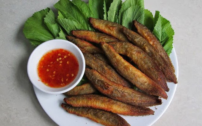 Săn cá chạch - đặc sản “cứu tinh” của quý ông - Ảnh 4. Săn cá chạch - đặc sản “cứu tinh” của quý ông - Ảnh 4.