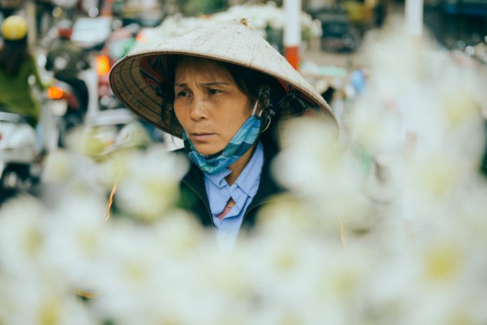 Có một mùa cúc họa mi đẹp ngỡ ngàng theo về trên phố - Ảnh 13. Có một mùa cúc họa mi đẹp ngỡ ngàng theo về trên phố - Ảnh 13.