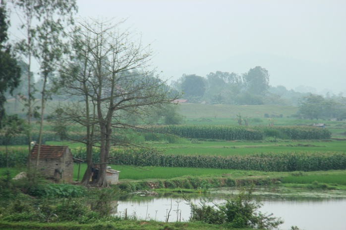 Hoang phế kinh thành yểu mệnh nhà Hồ - Ảnh 17.