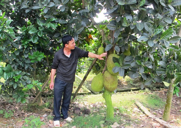 Sau bao năm lăn lộn vất vả, giờ đã đến lúc anh thu về thành quả cho mình