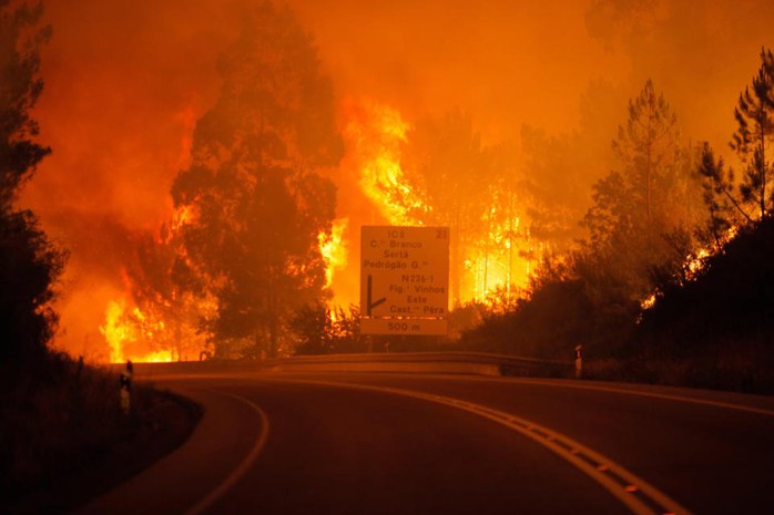 Đường cao tốc dẫn đến địa ngục ở Bồ Đào Nha - Ảnh 5.