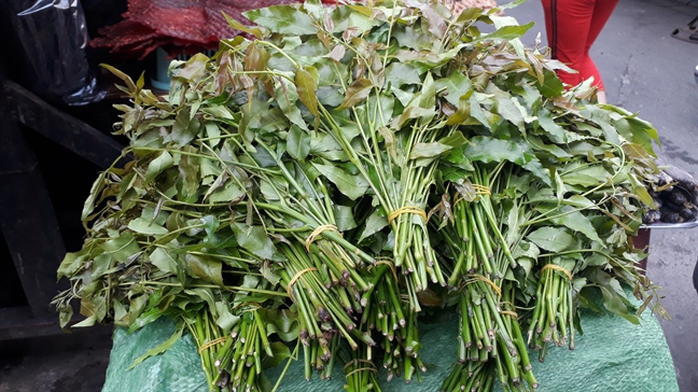 Đặc sản Thái Lan, Campuchia đổ bộ chợ truyền thống - Ảnh 3.