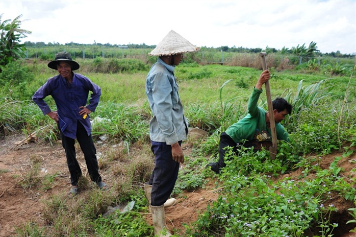 Săn dế cơm, kiếm 300 ngàn đồng/ngày như chơi - Ảnh 3.