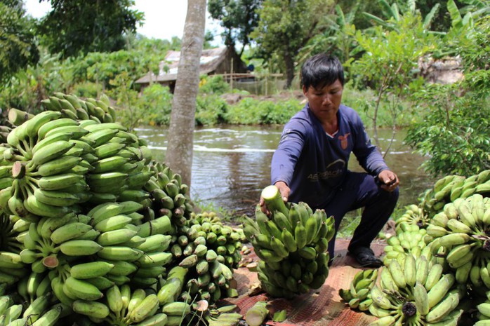 U Minh mùa sa mưa - Ảnh 3.