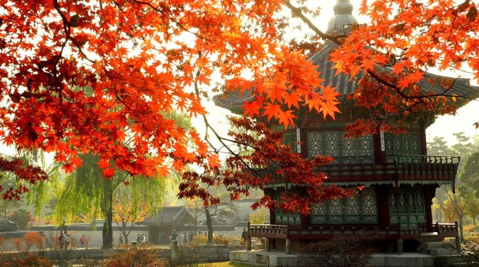 Những điểm du lịch châu Á lý tưởng bạn nên đi trong tháng 10 - Ảnh 3.