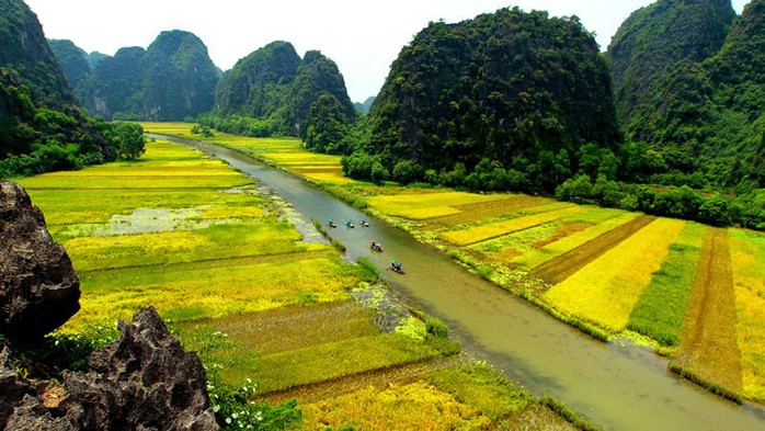 Ngất ngây trước vẻ đẹp Tam Cốc mùa lúa chín - Ảnh 10.