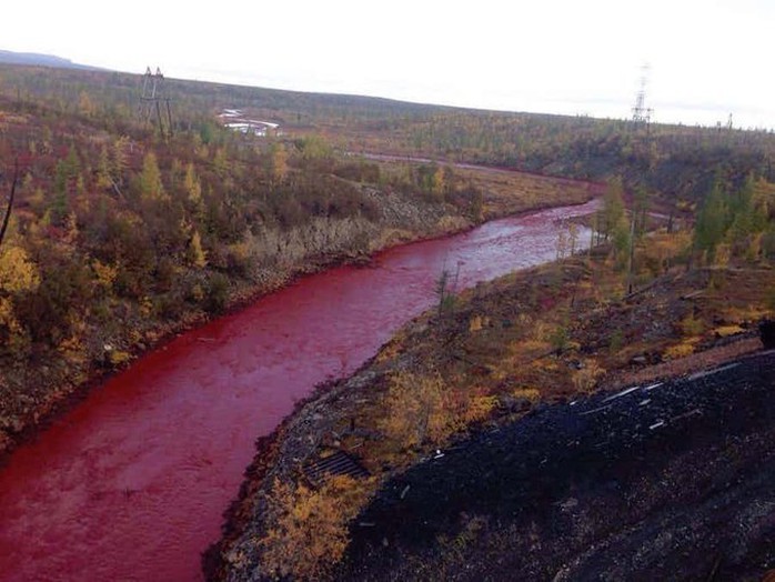 8 điều ít biết về vùng đất băng giá Siberia - Ảnh 4. 8 điều ít biết về vùng đất băng giá Siberia - Ảnh 4.