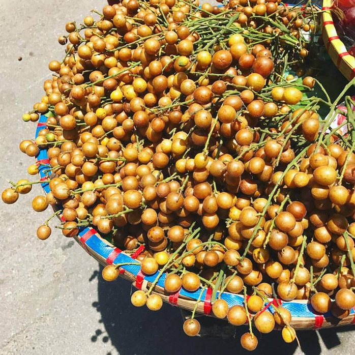 Quất hồng bì, bán chơi chơi cũng được cả tạ mỗi ngày - Ảnh 4. Quất hồng bì, bán chơi chơi cũng được cả tạ mỗi ngày - Ảnh 4.