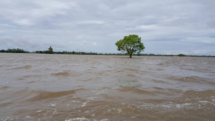 Sướng gì bằng ăn cá linh ngay đồng nước nổi - Ảnh 4.