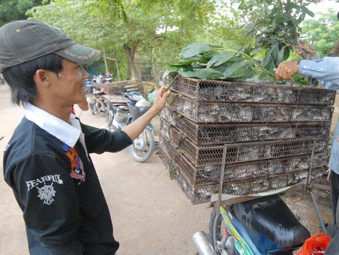 Nhiều hộ mua bán chuột ở đây cho biết, tuỳ theo mùa (chuột nhiều và ngon nhất trong khoảng từ tháng 3 - 10 âm lịch), 1kg chuột hơi có giá dao động từ 20.000 - 30.000 đồng. Sau khi được giết mổ, làm sạch sẽ được bán với giá 35.000 - 60.000 đồng/kg.