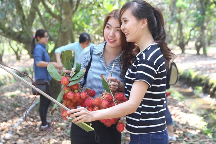 7 lý do nên du lịch Bến Tre vào mùa hè này - Ảnh 5.